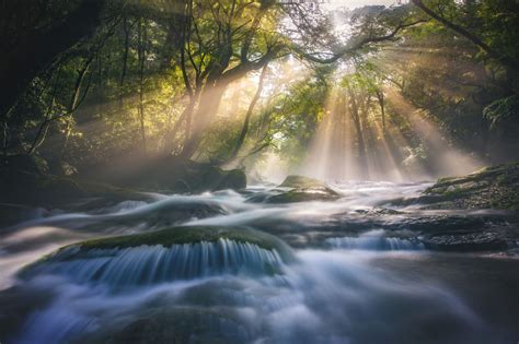 自然風景